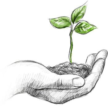 A hand gently cradling a young seedling growing from soil